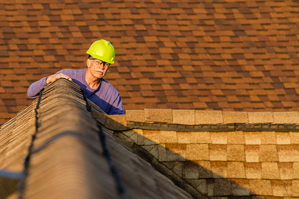 Best Roof Gutter Cleaning  in Georgetown, CA